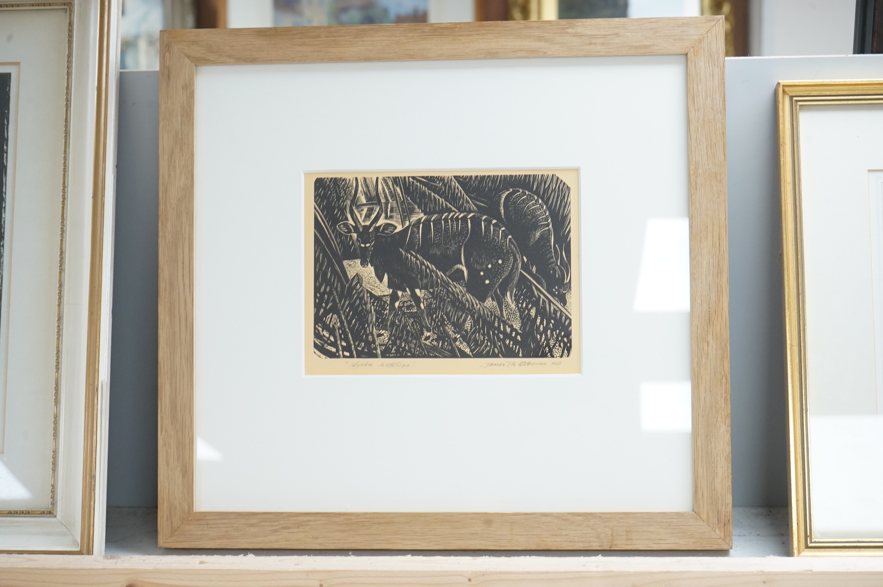 James T. A. Osborne RE (1907-1979), wood engraving, ‘Nyala Antelope’, signed in pencil, 15 x 18cm